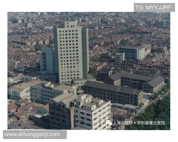 上海篮球队在联合会杯中的崛起与奋斗历程全景回顾