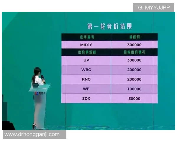 EDG战队反击策略深度分析与实战应用探讨