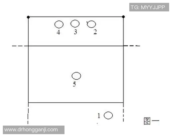 南京排球队中路突破战术解析与实战应用探讨